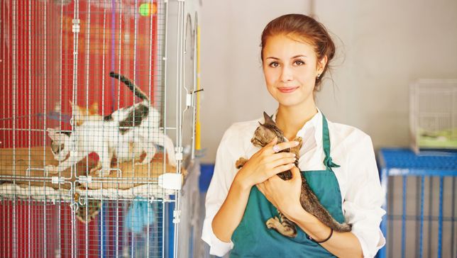 Exclusive Best 10 Animal Shelters in San Jose City