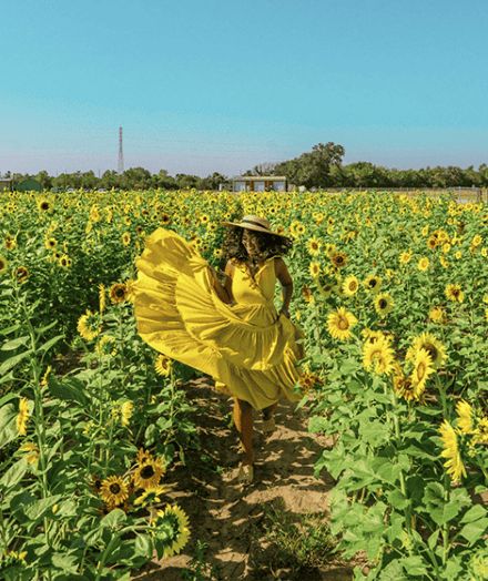 Expert Travel Planners In Dallas For Customized Itineraries