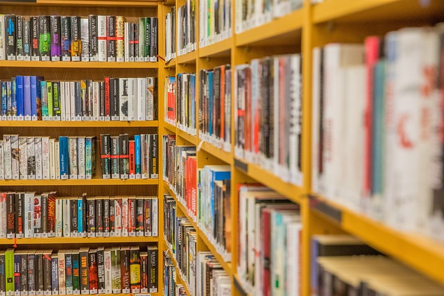 Best Bookstores in San Diego City