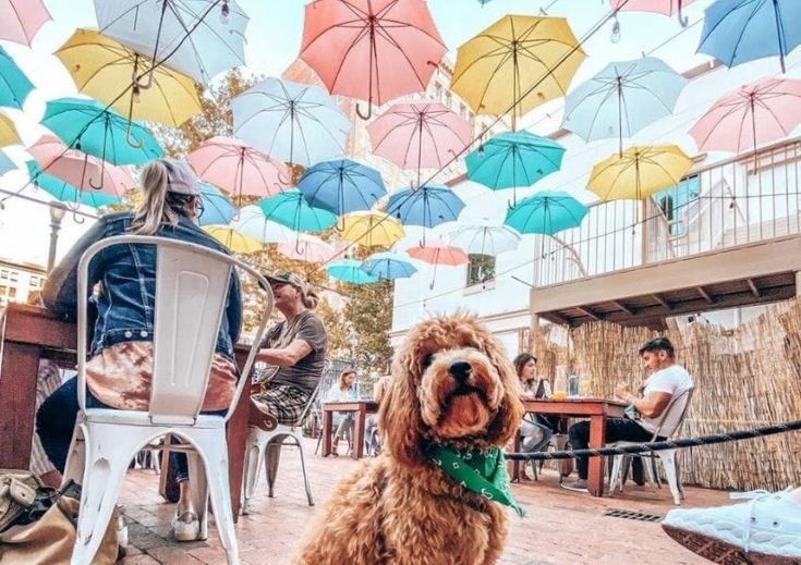 Must-Visit Art Galleries in Houston for Art Enthusiasts