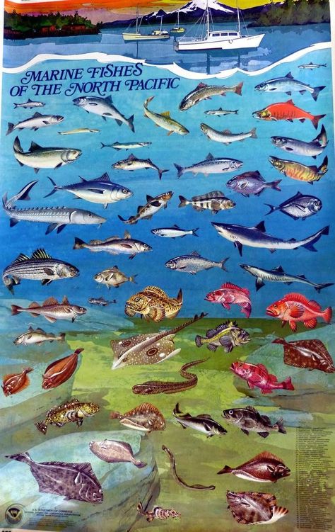 Top  10  Fisheries  in  Columbus