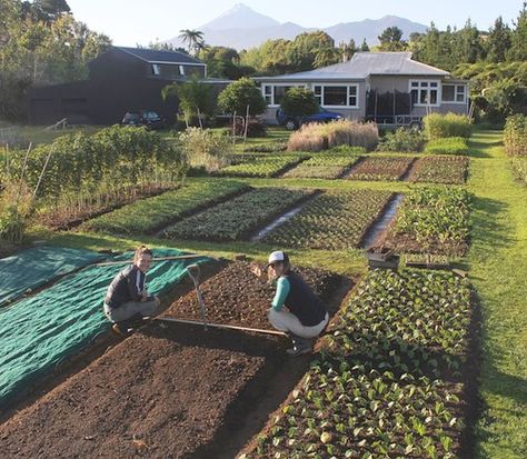 Best  10  Organic  Farming  in  Austin