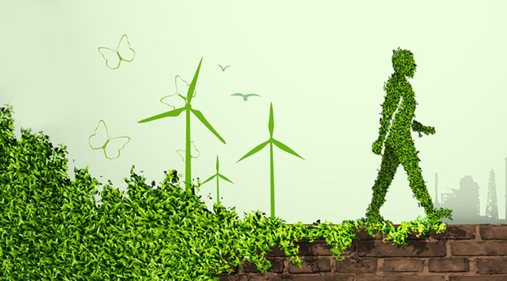 Top Wind Energy Providers in San Antonio for Clean Power