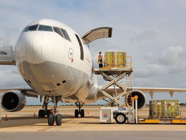 Top 10 Courier Services in Austin