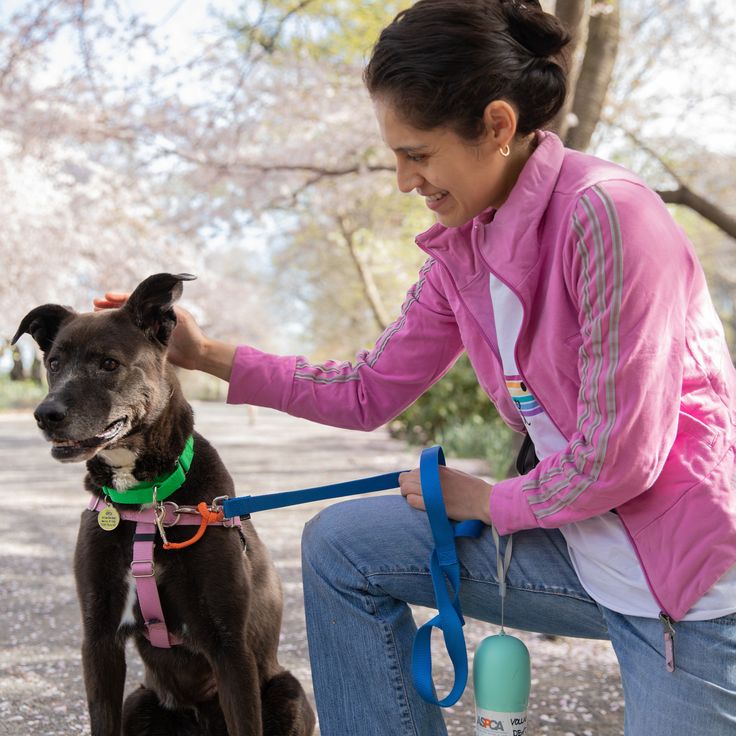 Top 10 Animal Welfare Organizations in Columbus