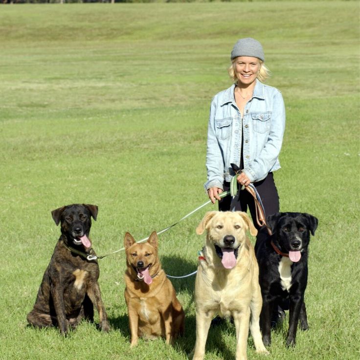 Top 10 Animal Welfare Organizations in Austin