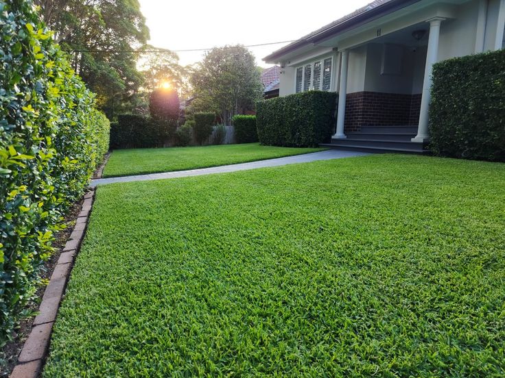 Top 10 Artificial Grass Services in Long Beach