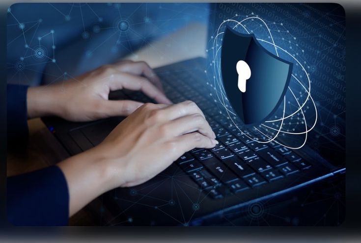 Highly Rated  Web Development Service in Miami
