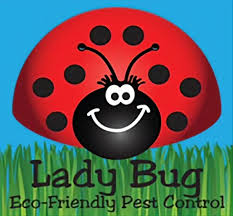 Lady Bug Pest Control Services