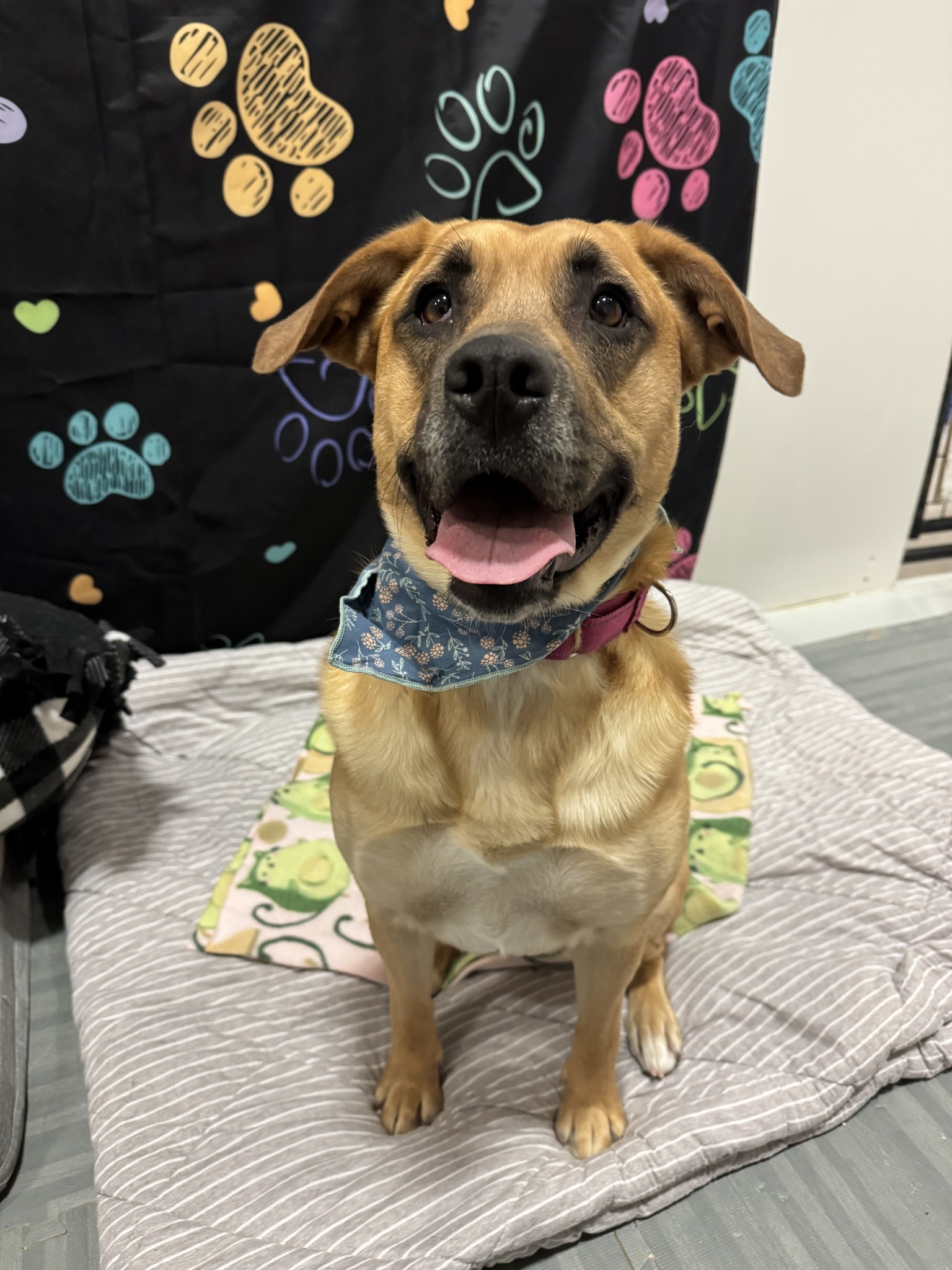 ASPCA Animal Hospital