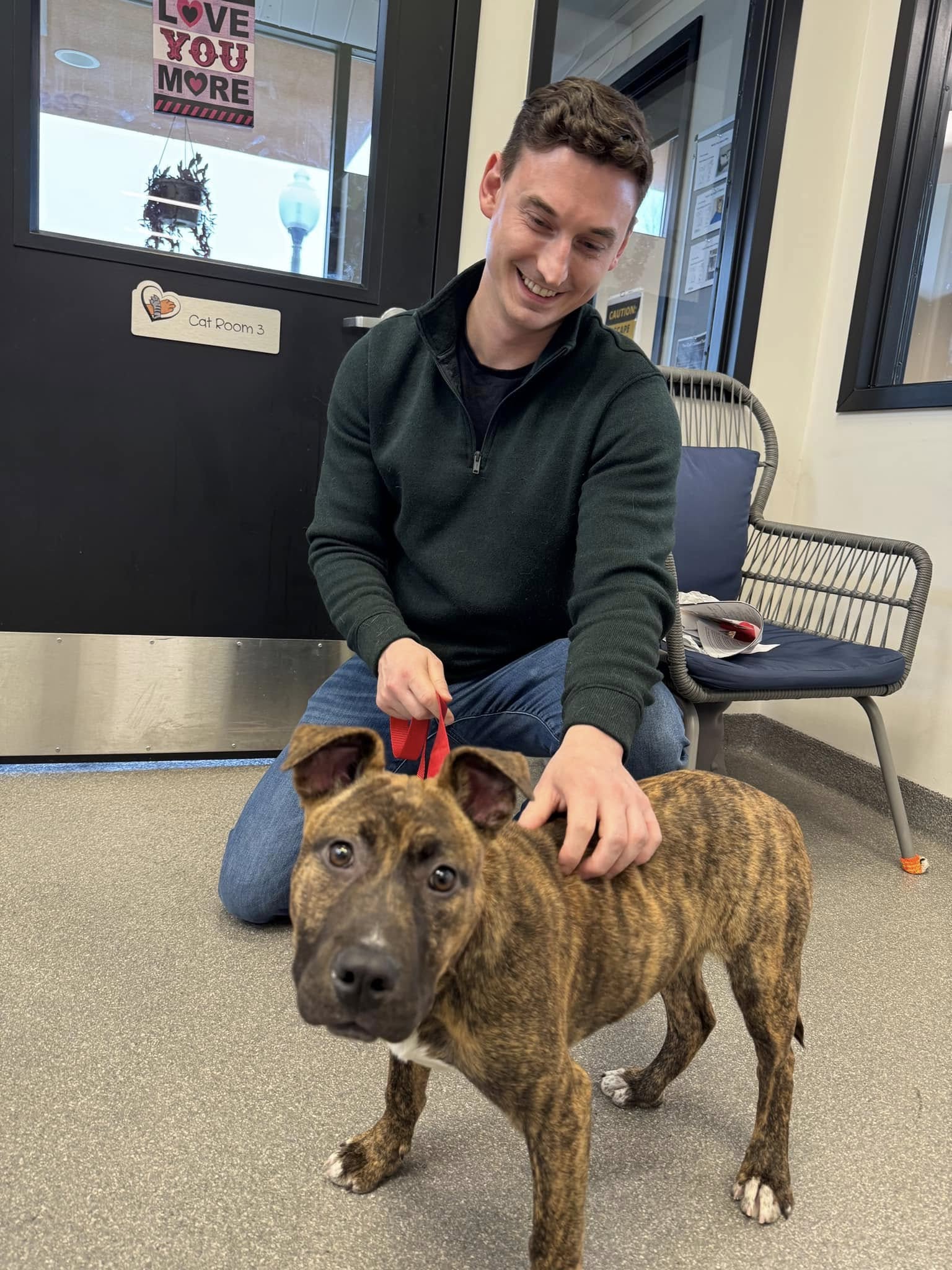 Paws Crossed Animal Rescue