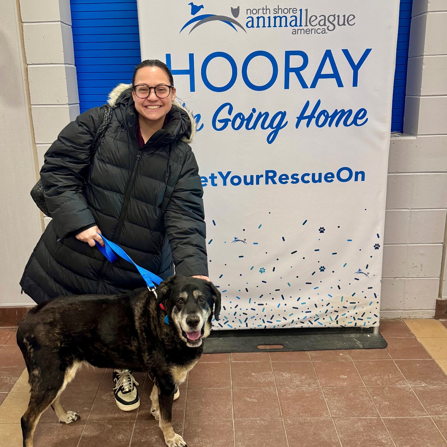 North Shore Animal League America