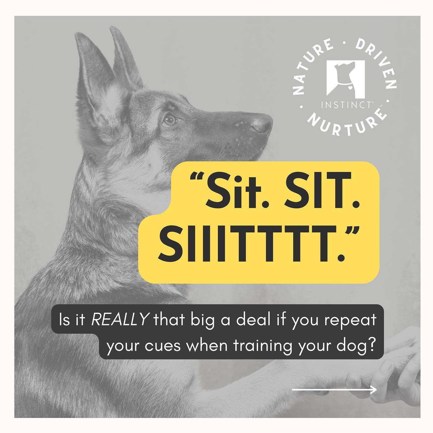 Instinct Dog Behavior & Training