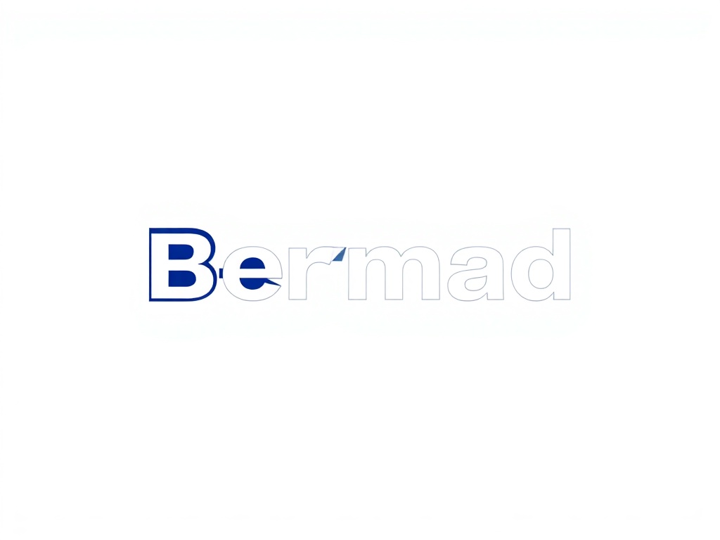 Bermad Control Valves