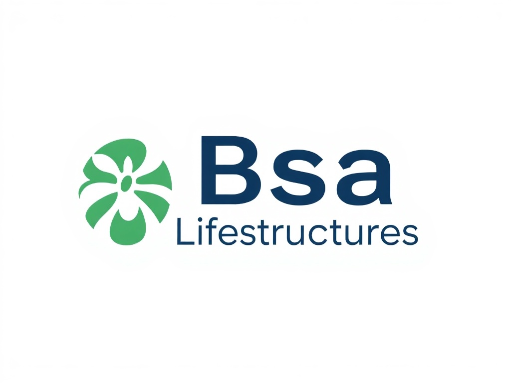 Bsa Lifestructures