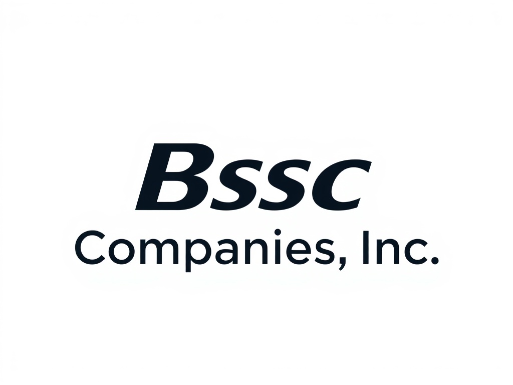 Bsc Companies Inc.