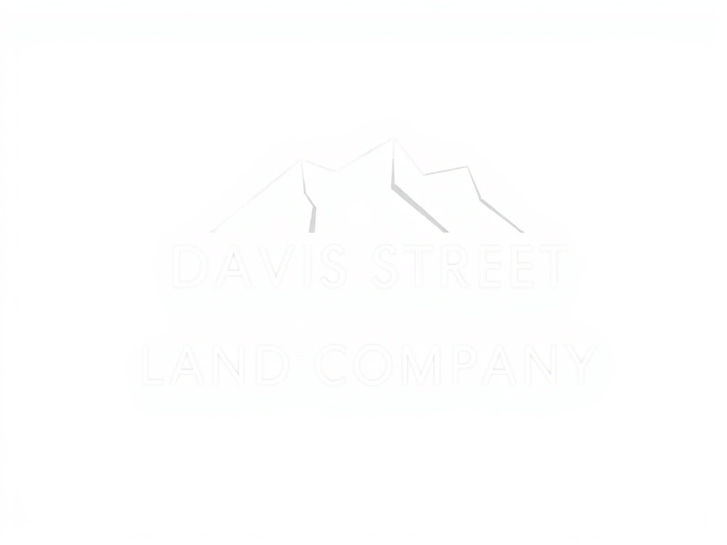 Davis Street Land Company