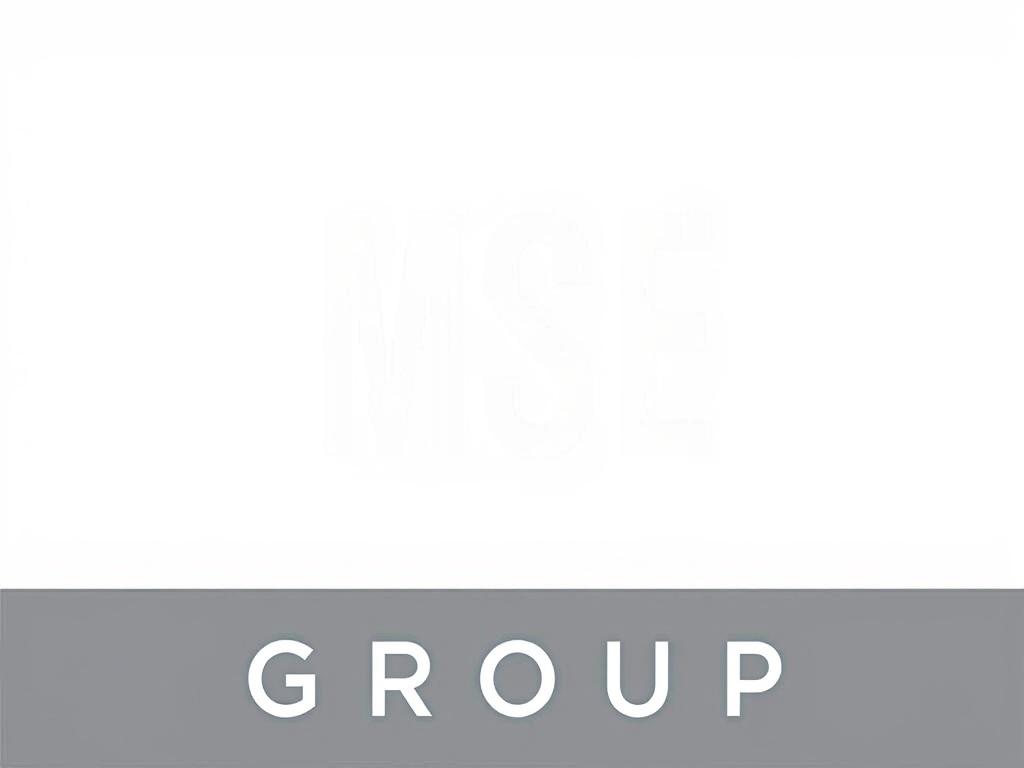 MSE Group