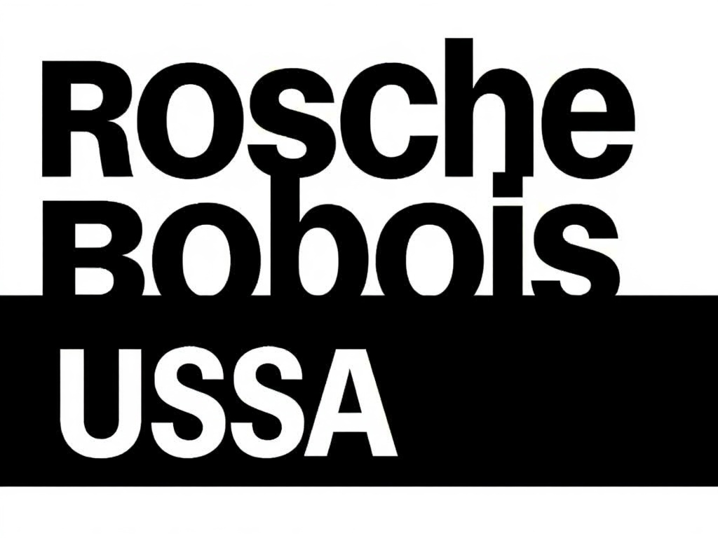 Roche Bobois Usa Ltd
