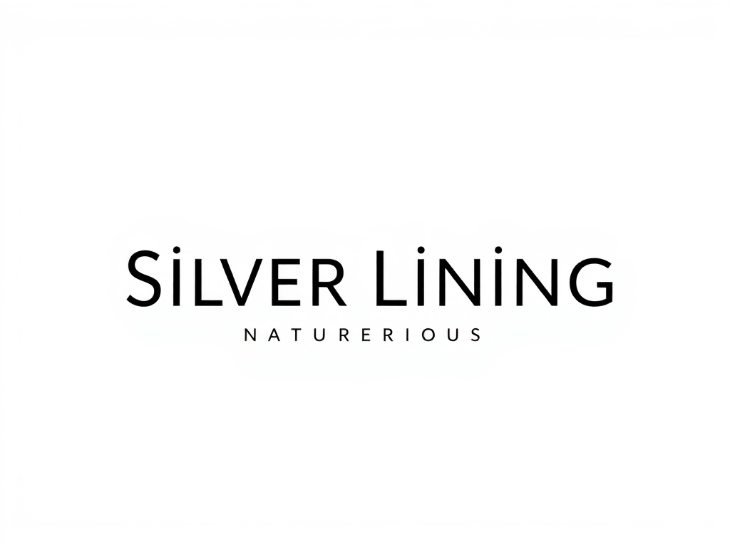 Silver Lining Interiors