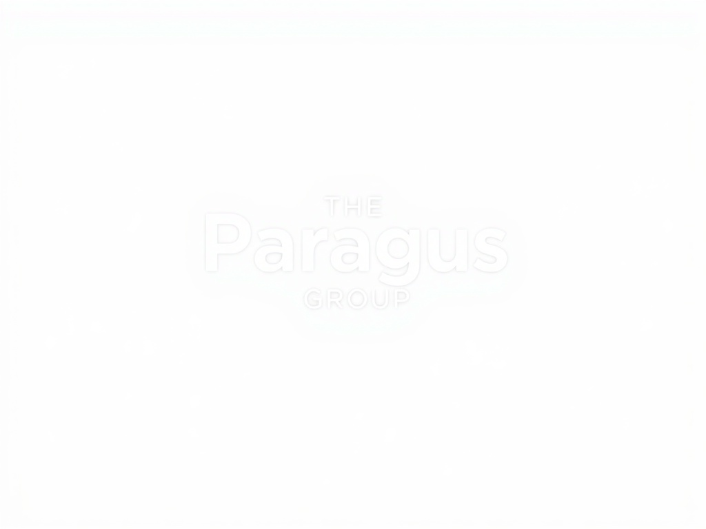 The Paragus Group