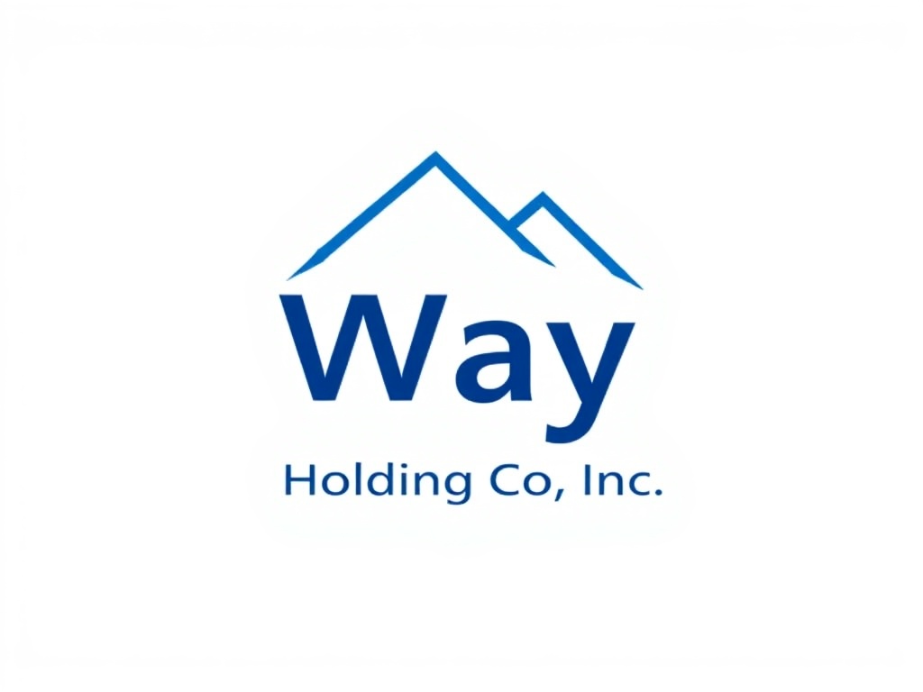 Way Holding Co Inc
