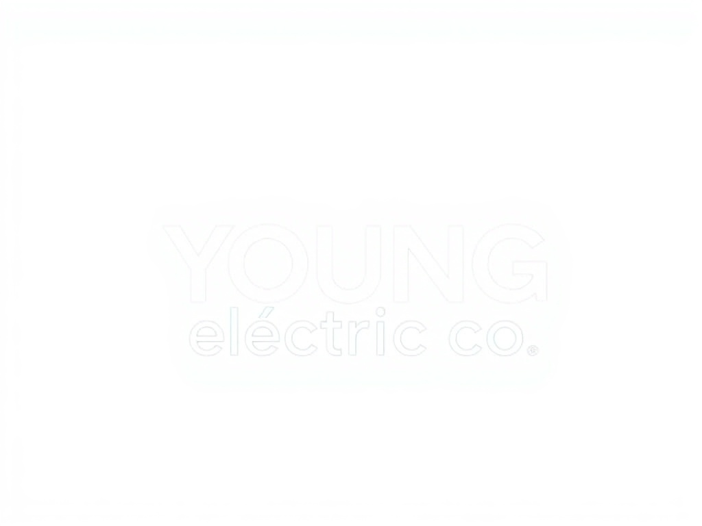 Young Electric Co